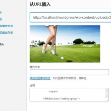 解决WordPress 5.6 “从URL插入”图片BUG
