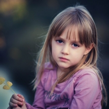 wordpress发布文章可以选择用户或者作者