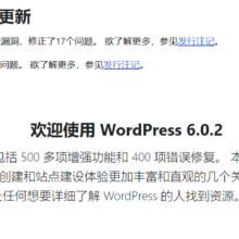 WordPress 6.0.2更新:修复12个核心错误,5个编辑器错误,3个安全补丁