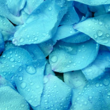 WordPress同时统计文章中文和英文单词数